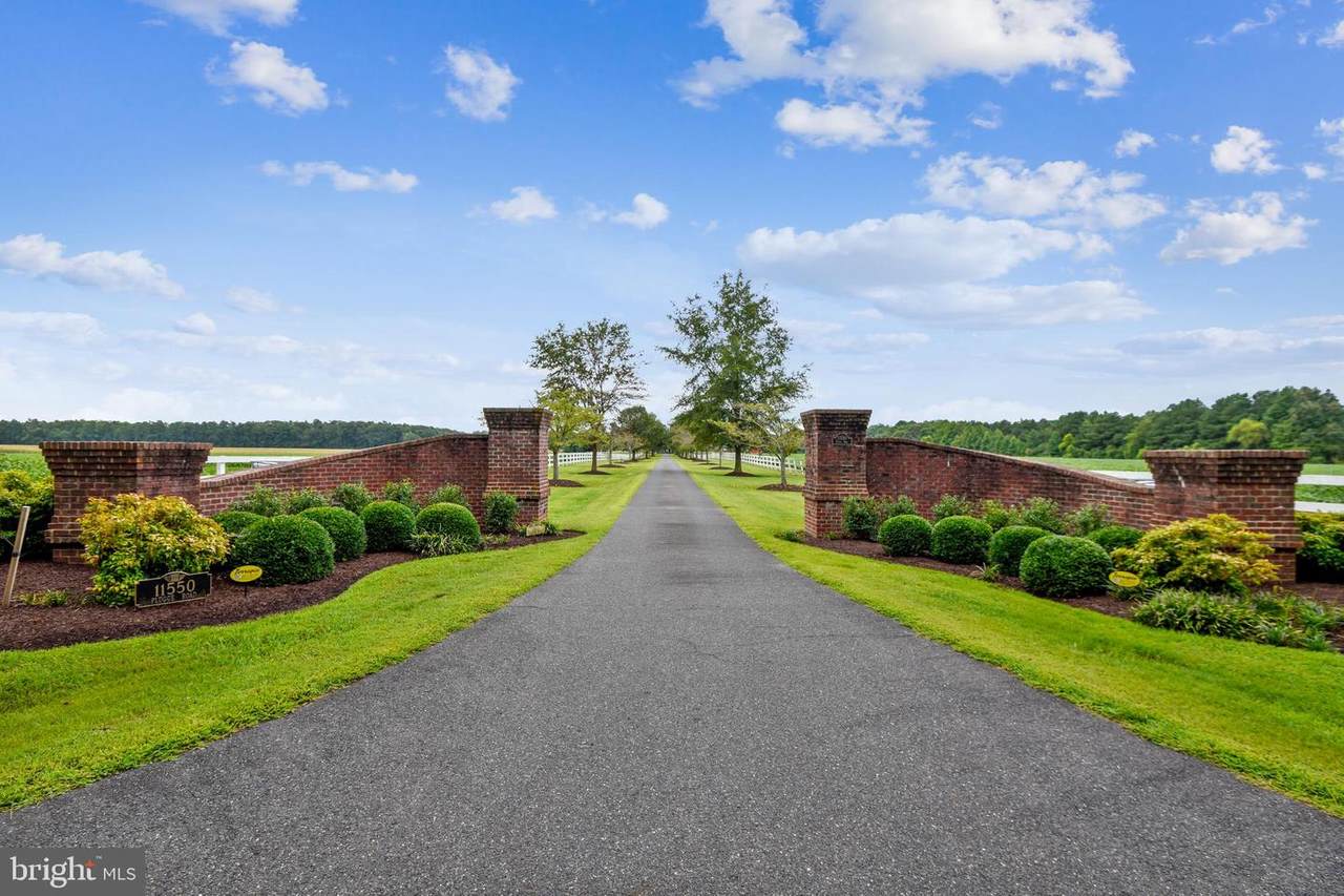 11550 Plugge Road - Photo 1