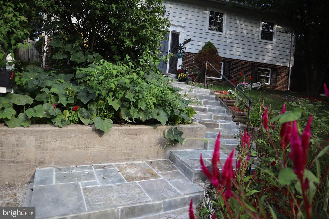 10111 Rhode Island Avenue - Photo 1