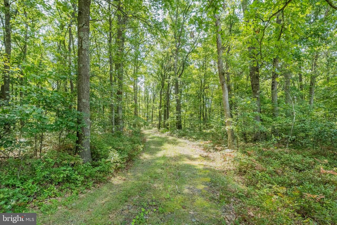 360 Blue Sky Drive - Photo 1