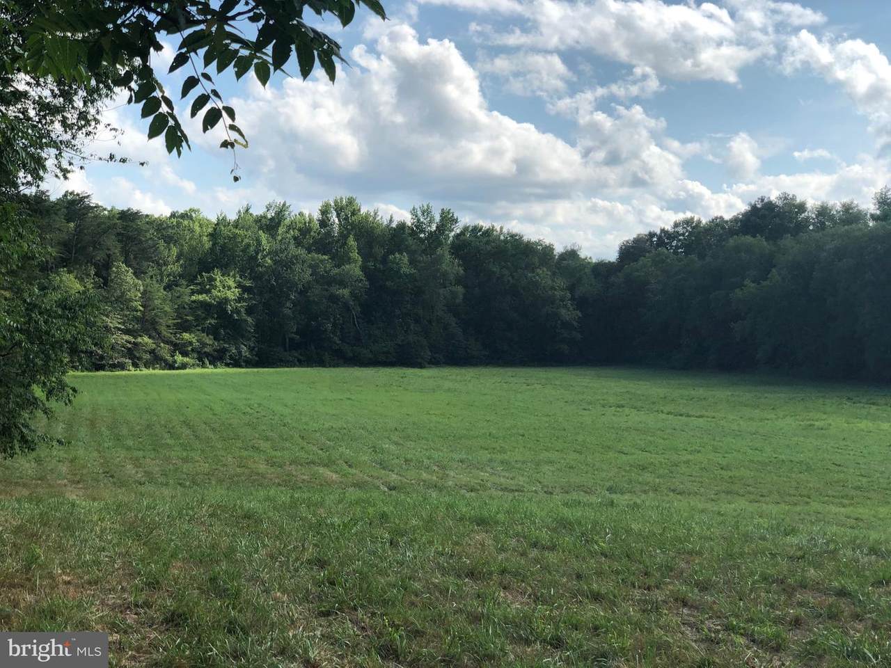 LOT White Oak Road - Photo 1