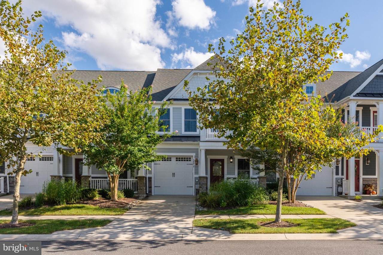 36618 Day Lily Parkway - Photo 1