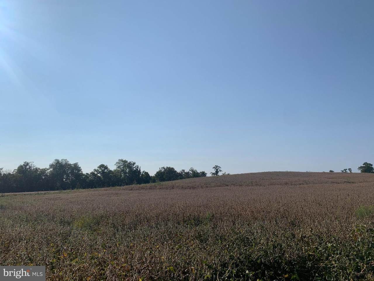 4312 Locust Grove Road - Photo 1
