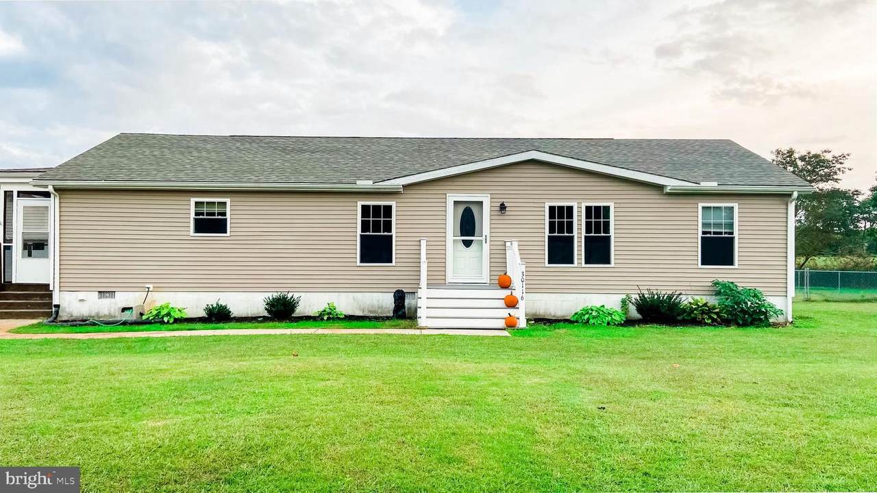 30116 Frankford School Road - Photo 1
