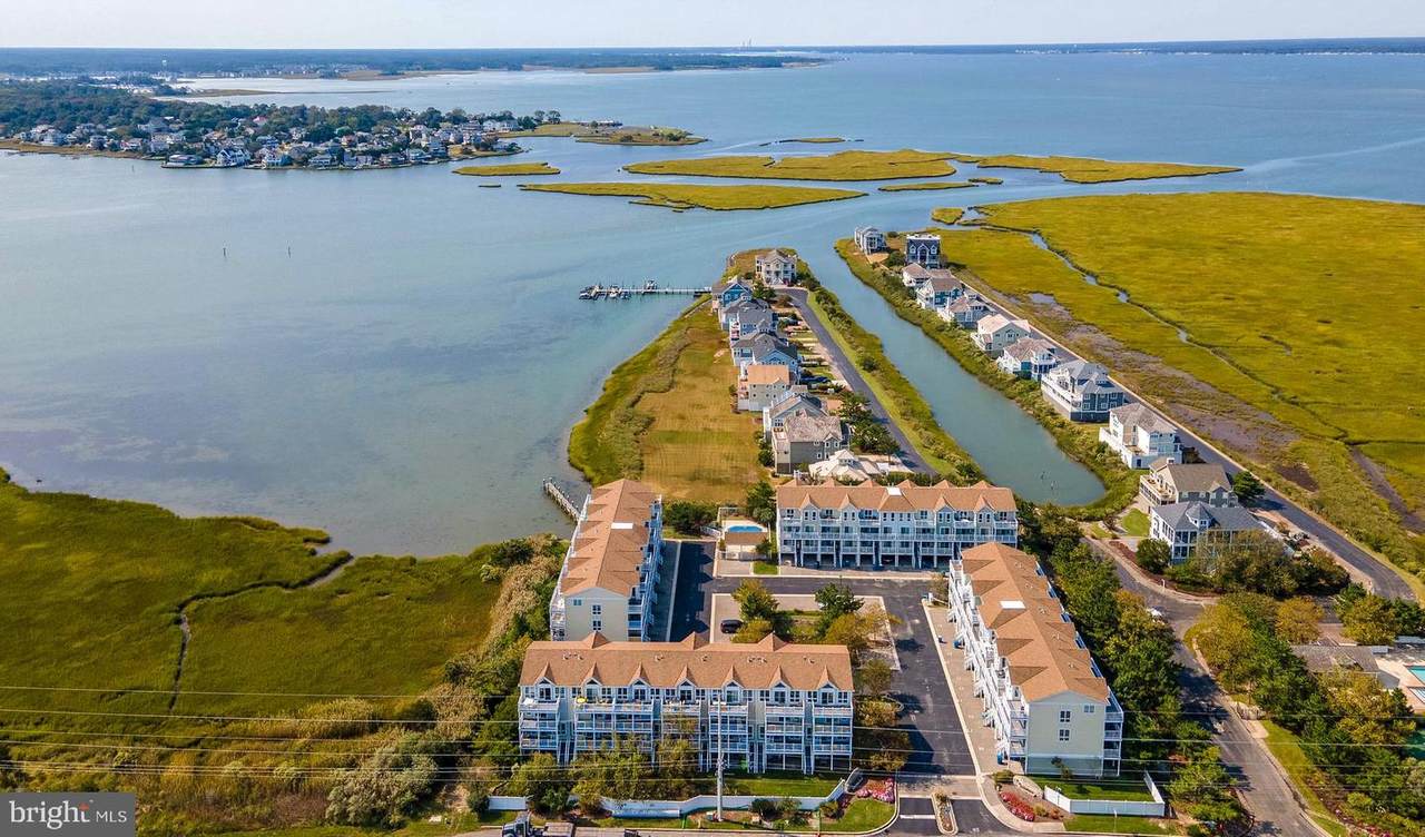29082 Beach Cove Square - Photo 1