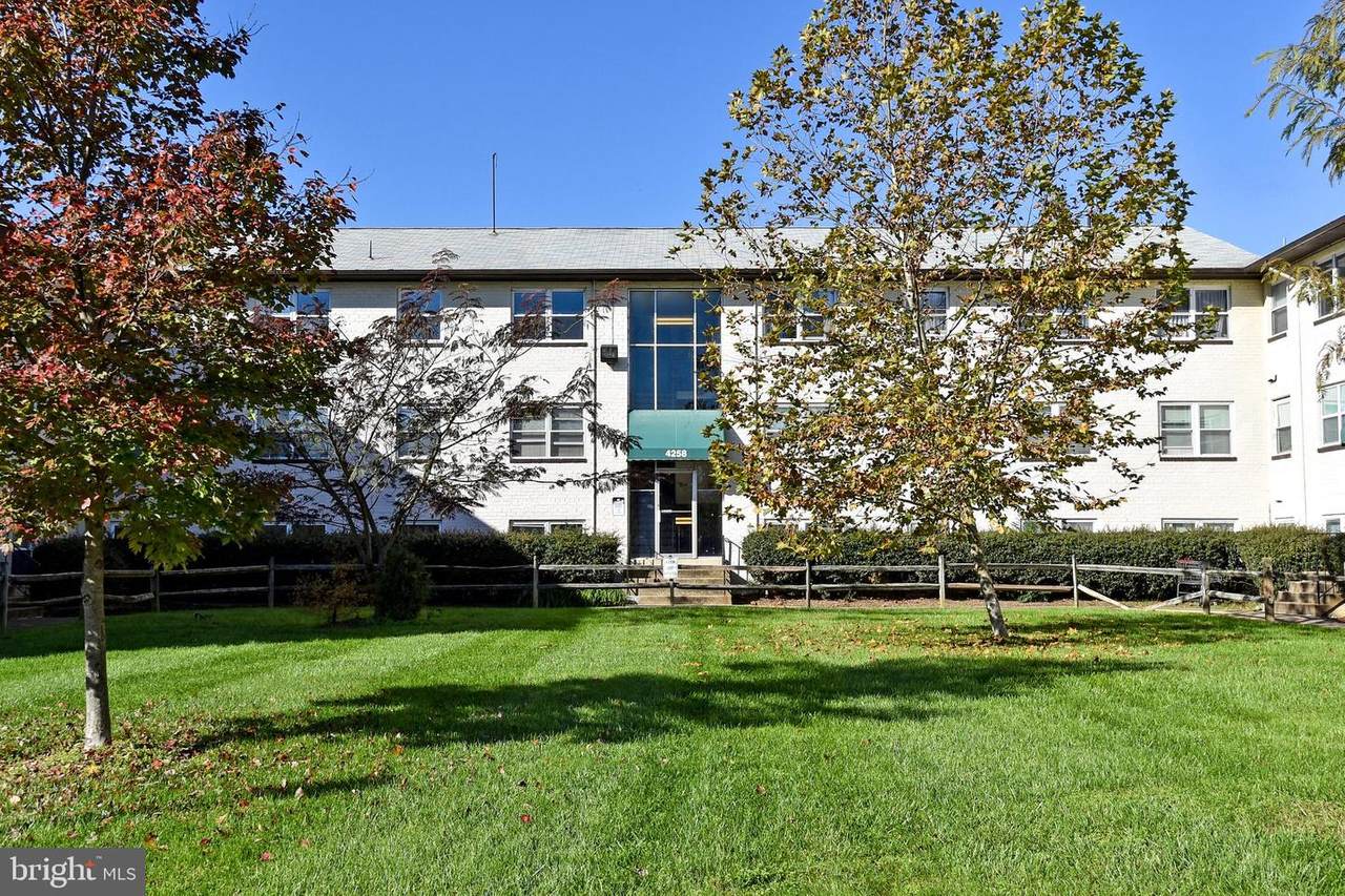 4258 Buckman Road - Photo 1