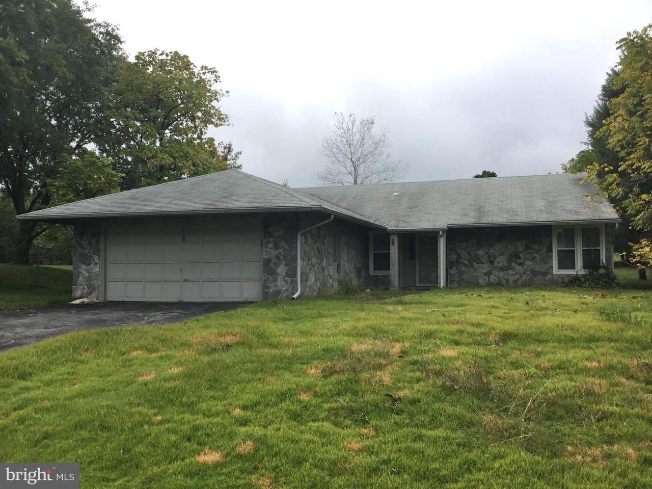 12065 Pierce Road - Photo 1