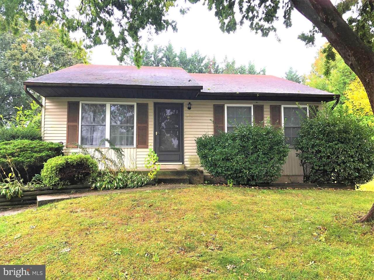 983 Eckard Court - Photo 1