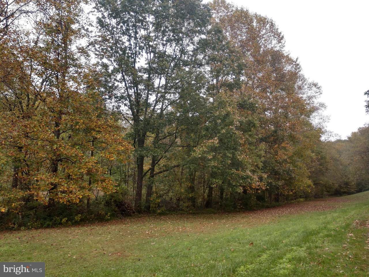 Estevez Rd. - Photo 1