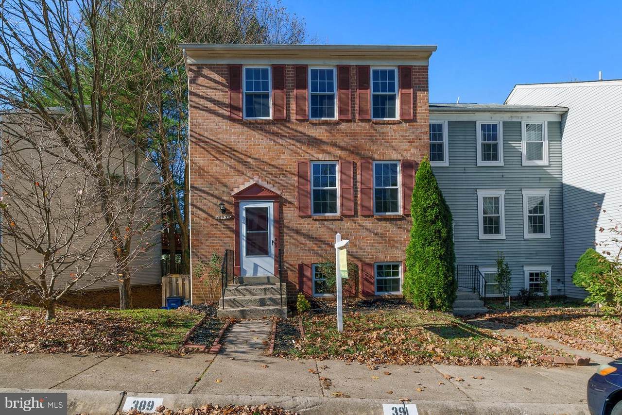 18932 Treebranch Terrace - Photo 1