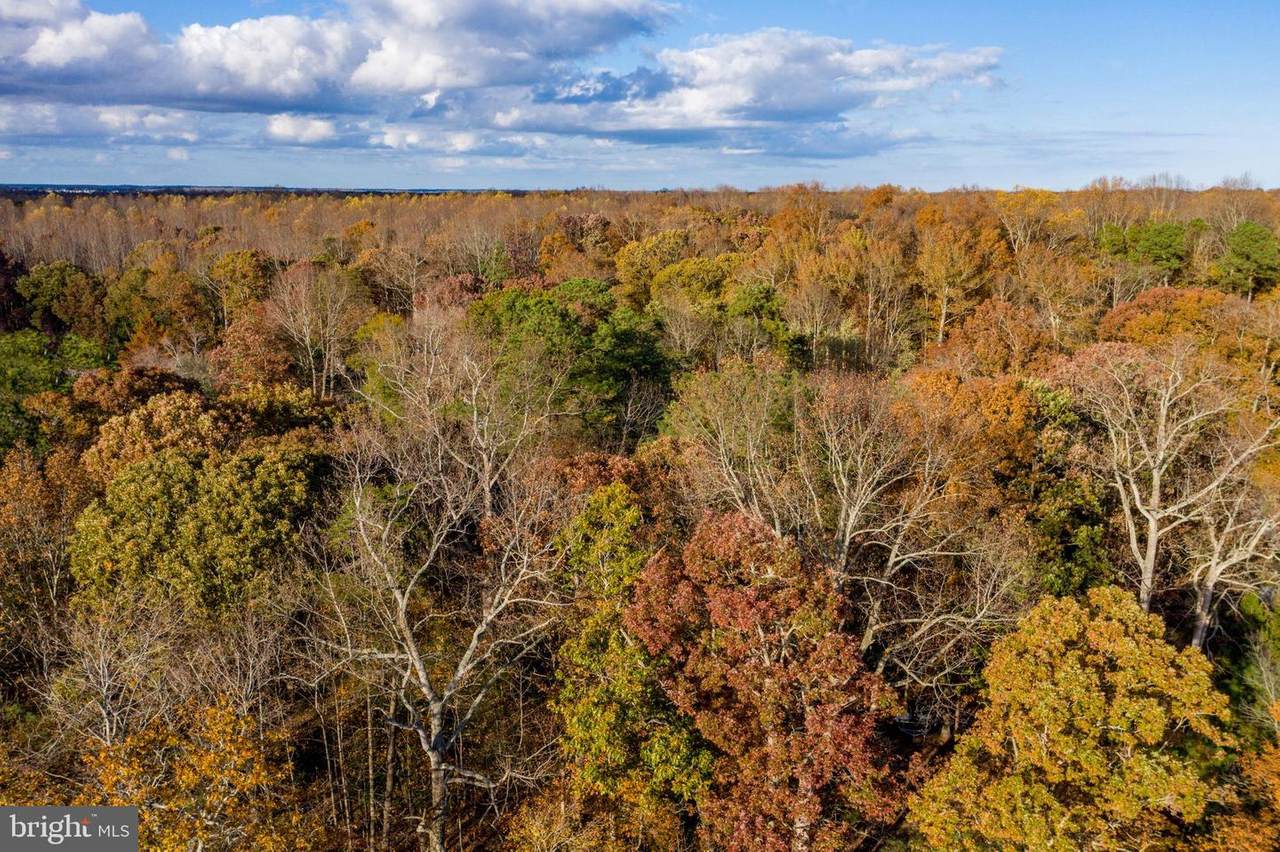 Lot 20 Cedar Ct - Photo 1