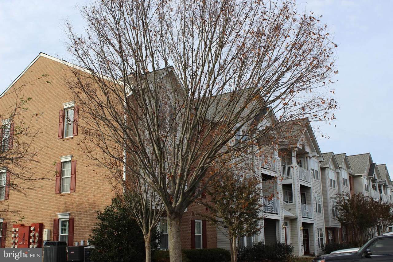 697 Winding Stream Way - Photo 1