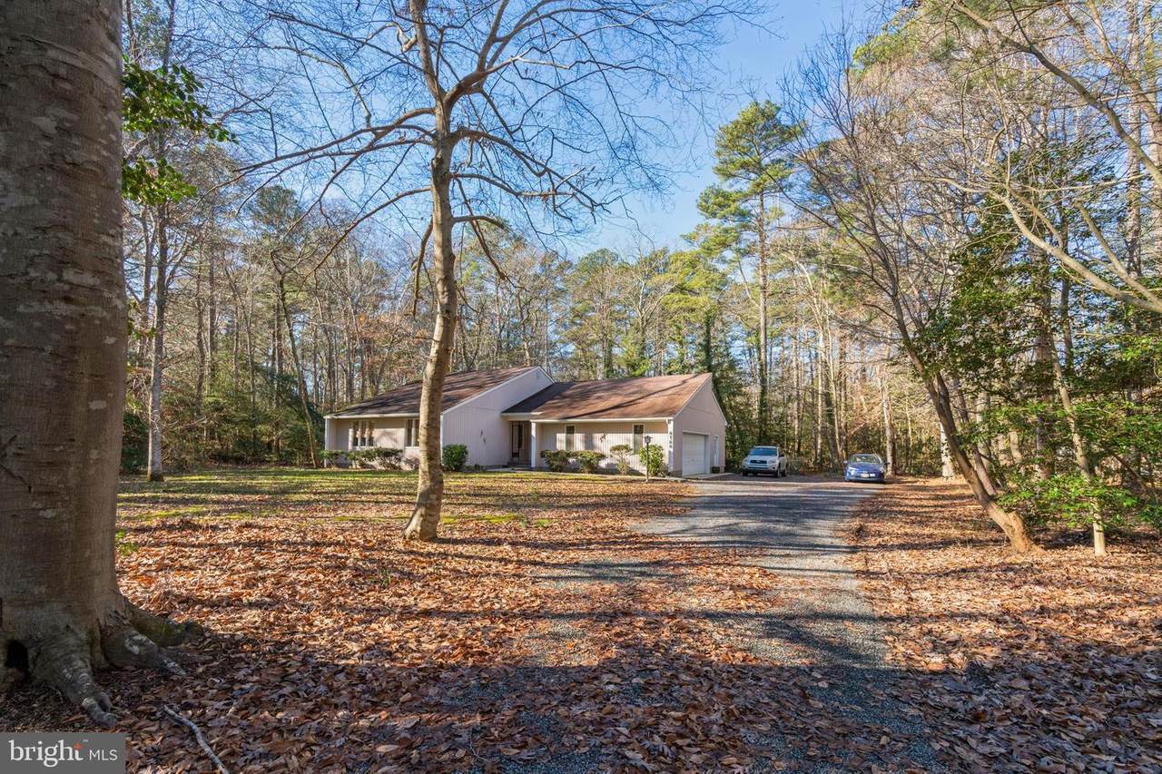 8588 Dogwood Blossom Lane - Photo 1