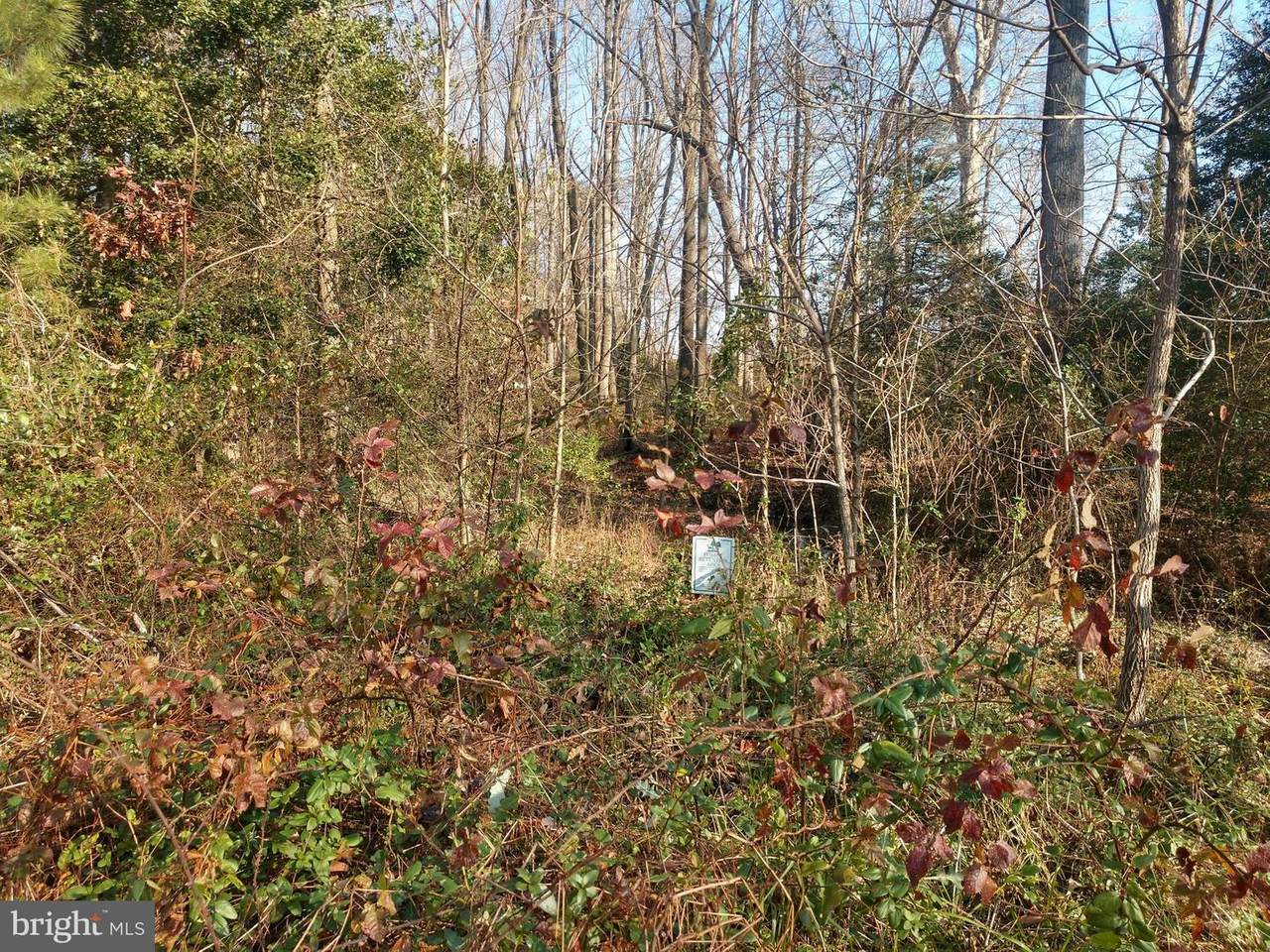 Lot 45 Hickory Cove Road - Photo 1