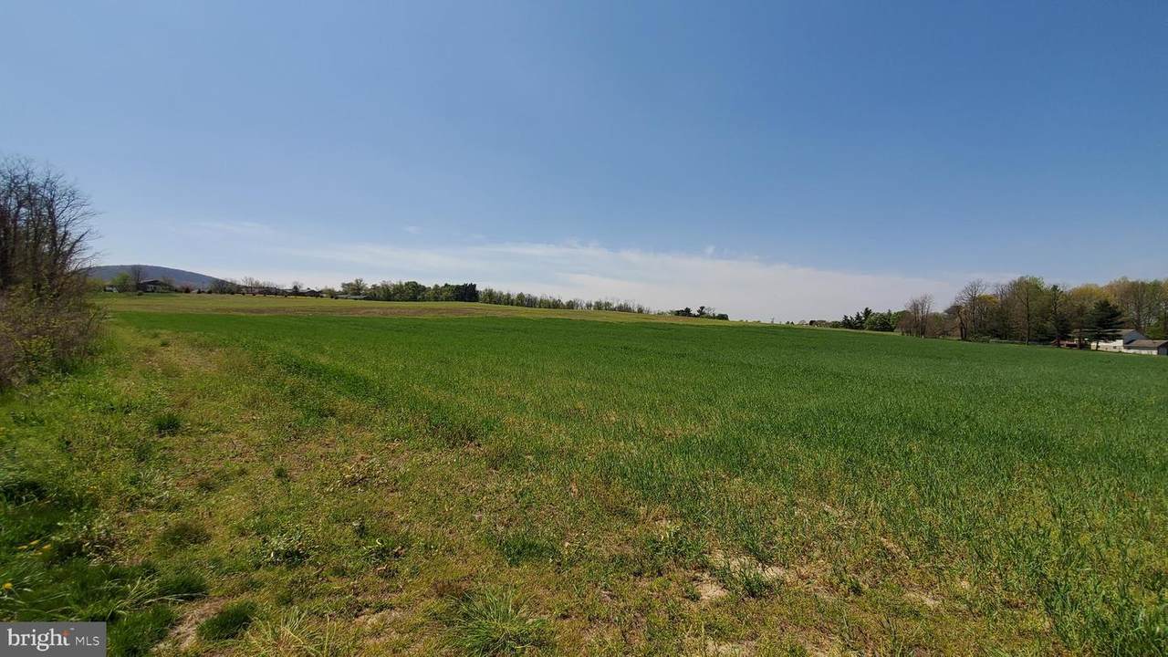 Eagle's Nest Road - Photo 1