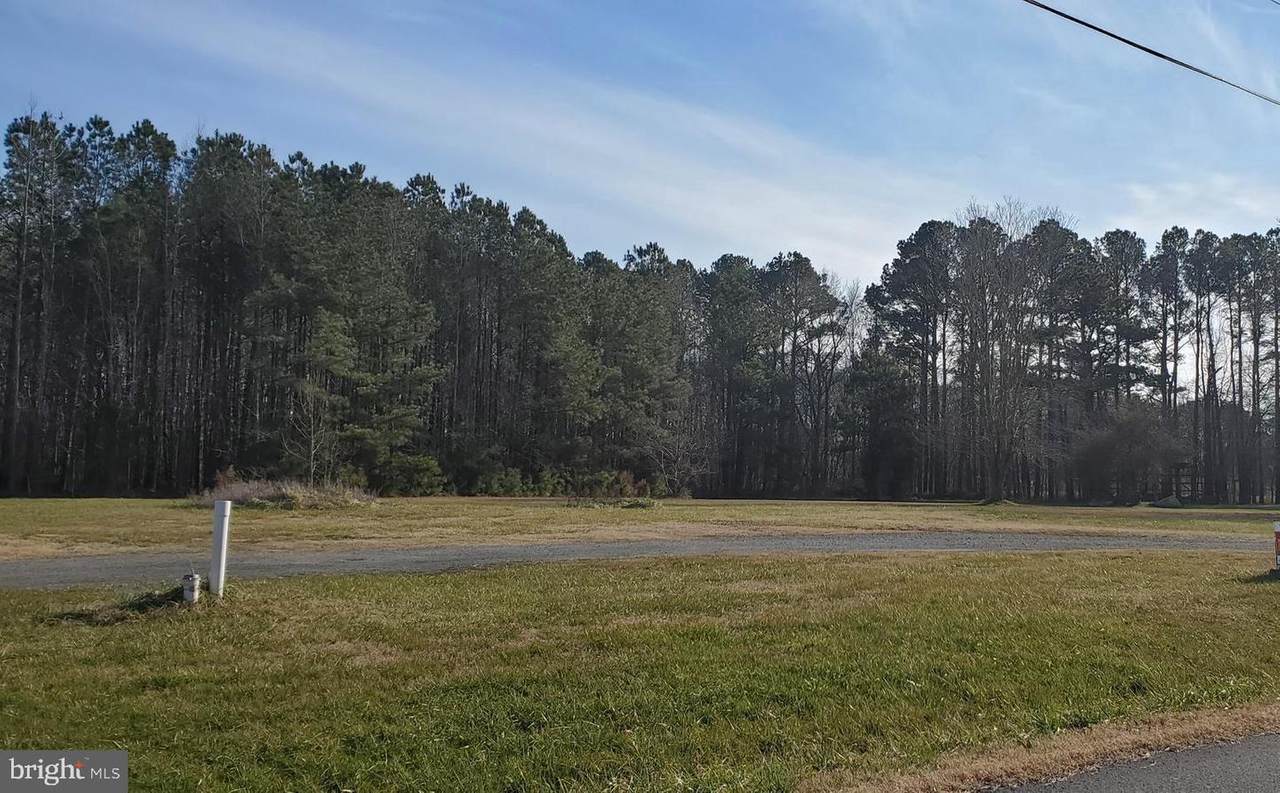 31459 Polly Branch Road - Photo 1