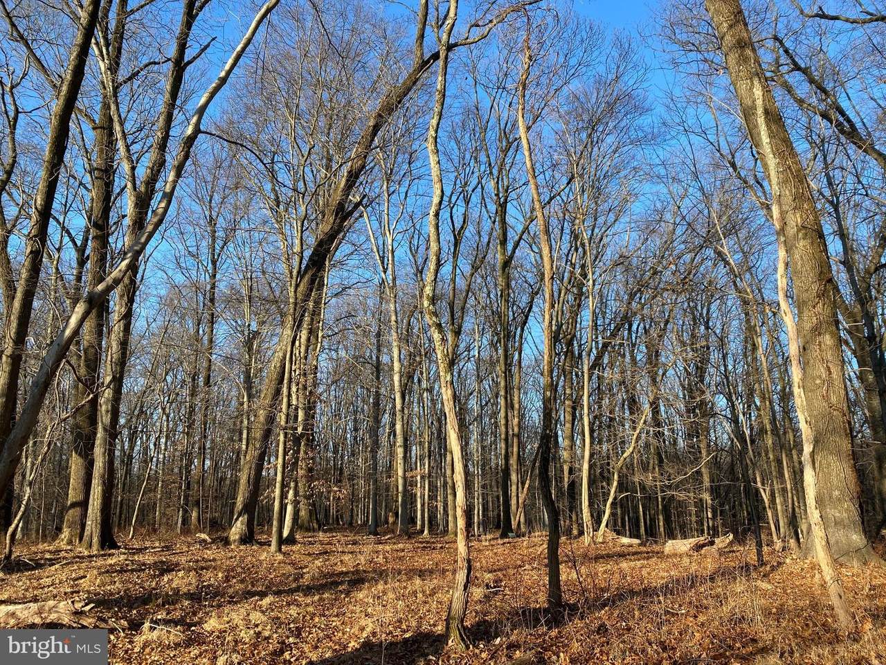 Fork Road - Photo 1