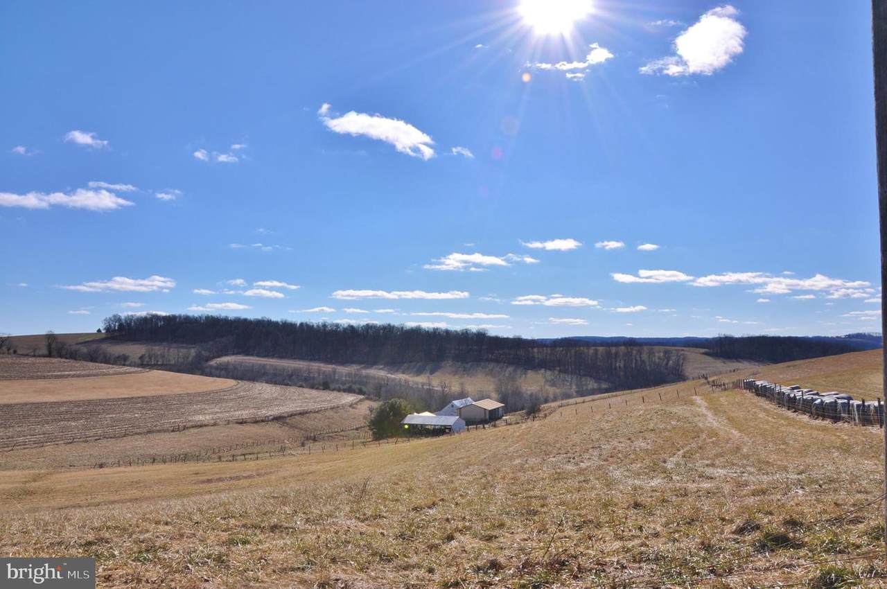 4772 Wolfgang Rd Road - Photo 1