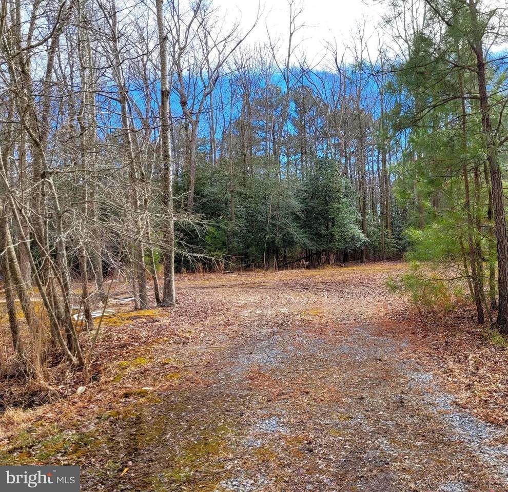 0 Whitetail Drive - Photo 1