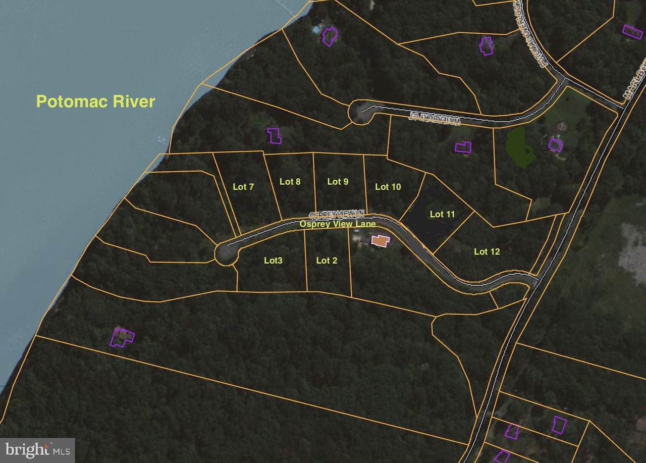 8 ON-THE-WATER LOTS Osprey View Lane - Photo 1
