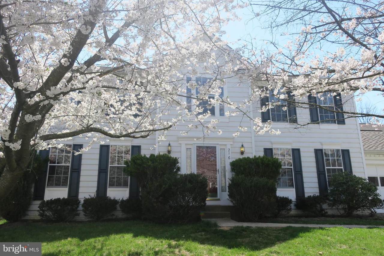 216 Lower Country Drive - Photo 1