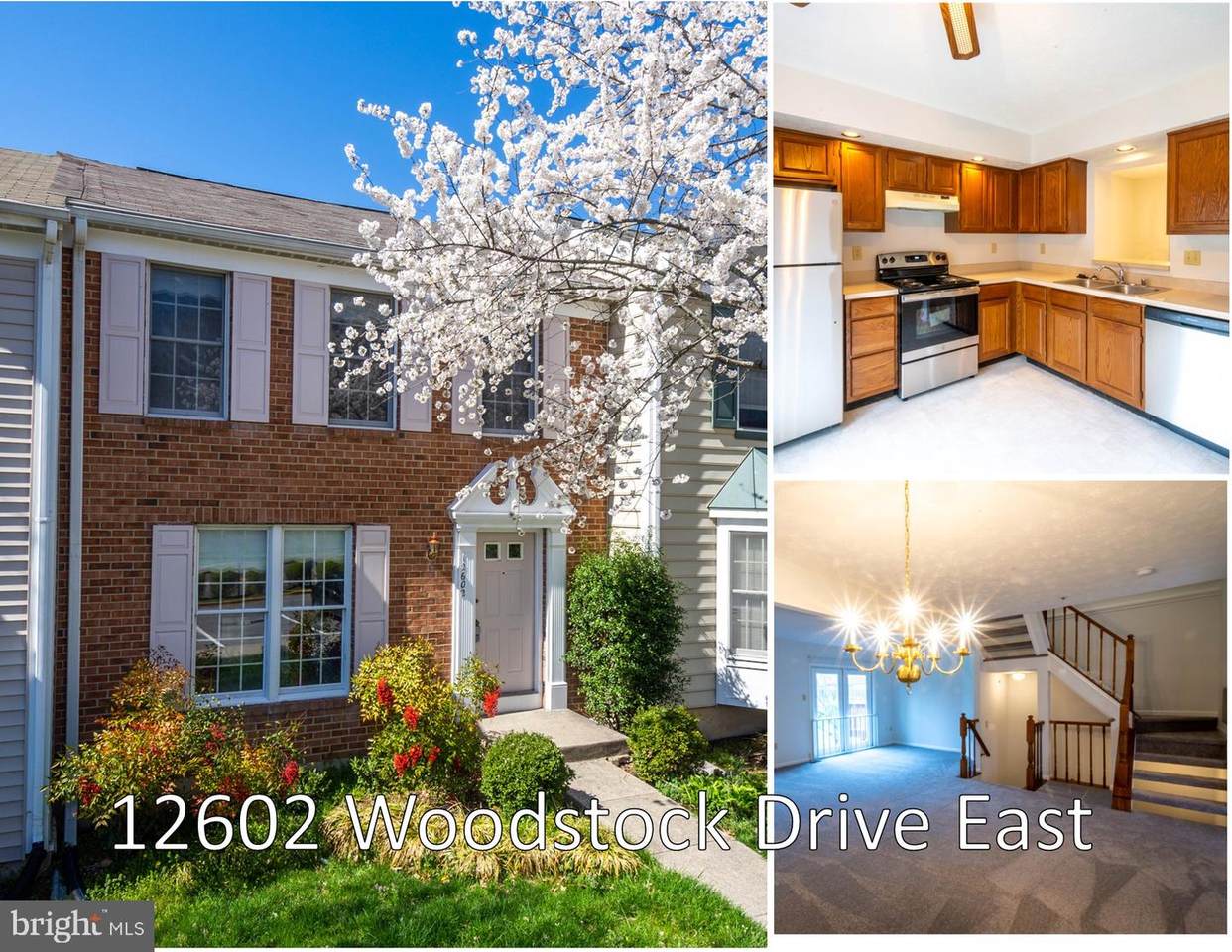 12602 Woodstock Drive - Photo 1