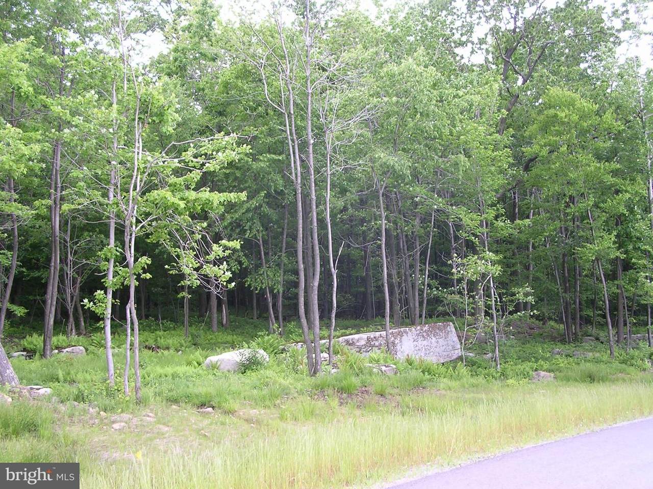 92 Mountaintop Road - Photo 1