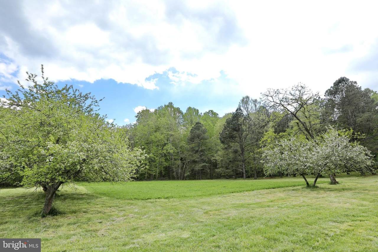 10150 Conoy Place - Photo 1