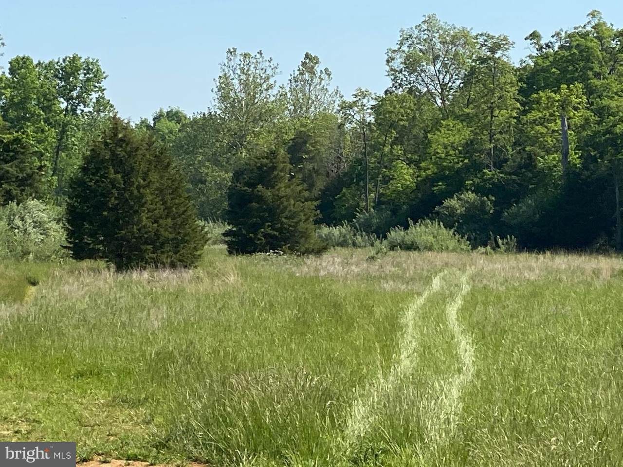 Savannah Drive Lot 54 - Photo 1