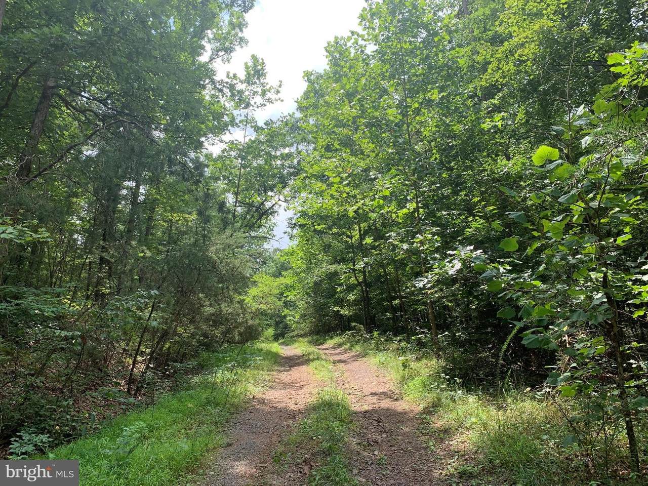 LOT 5, 9, 10 Crooked Run Road - Photo 1