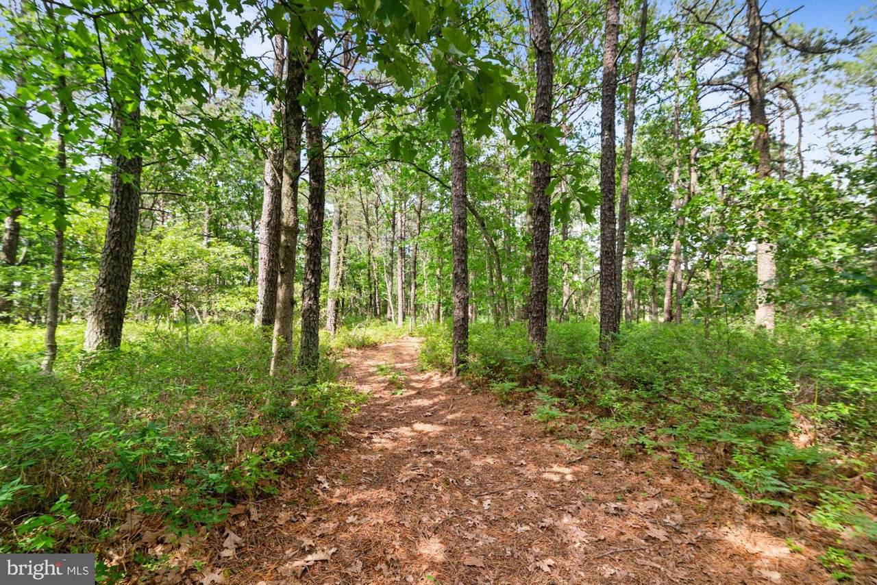 1001 Jackson Road - Photo 1