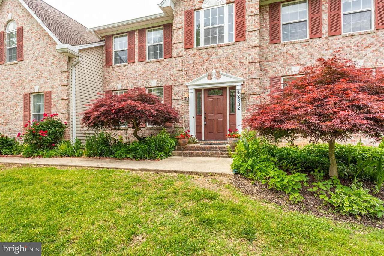 42932 Hungerford Court - Photo 1