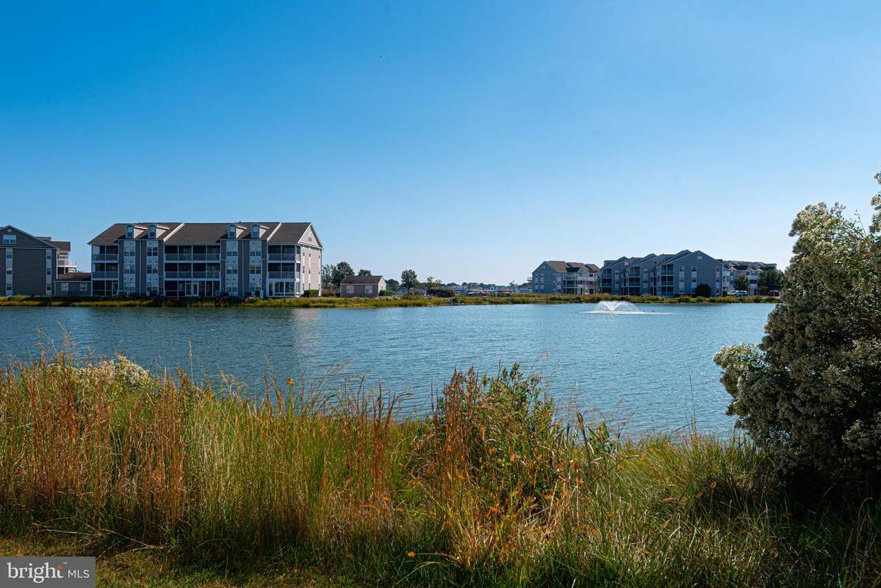 37178 Harbor Drive - Photo 1