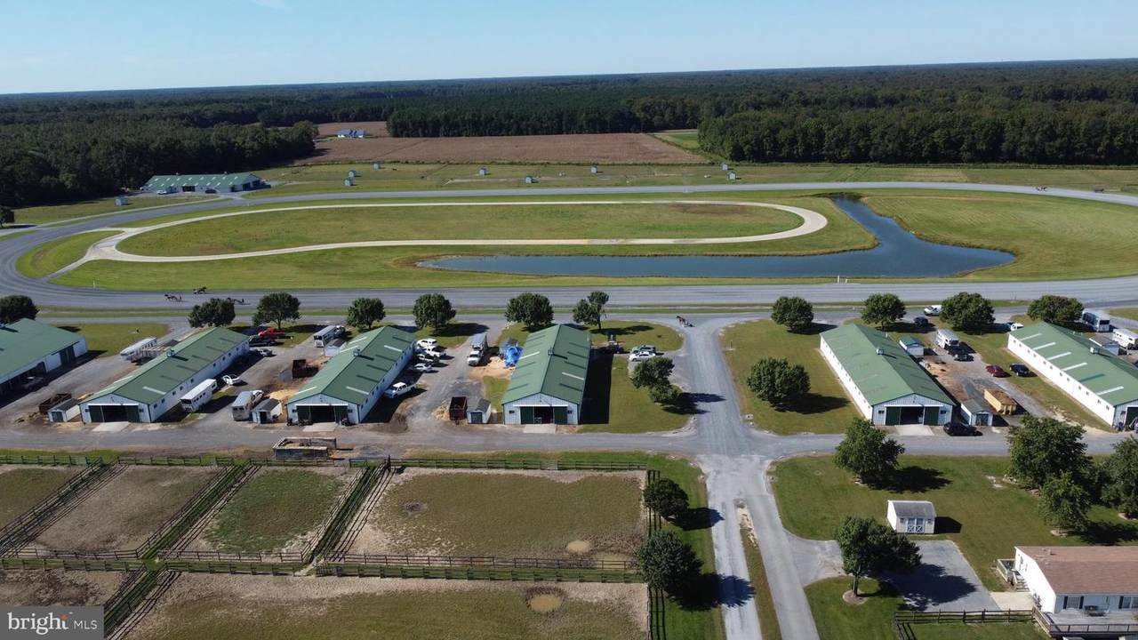 595 Black Swamp Road - Photo 1