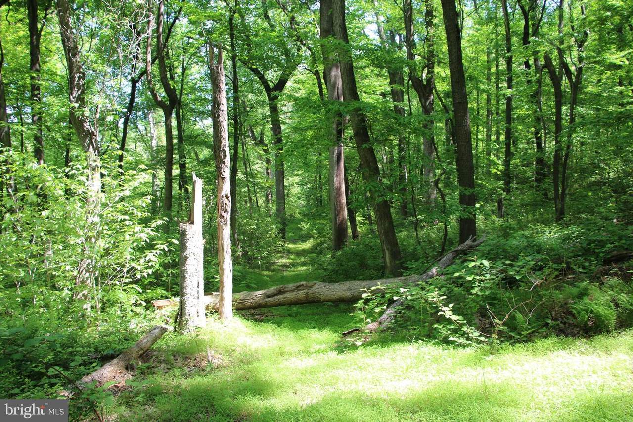 Harpers Ferry Road - Photo 1