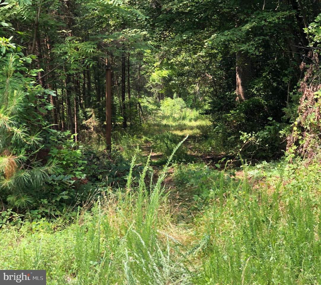 14686 Dry Bridge Road - Photo 1
