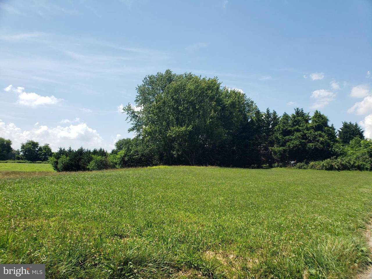 8930 Hickory Hill Road - Photo 1