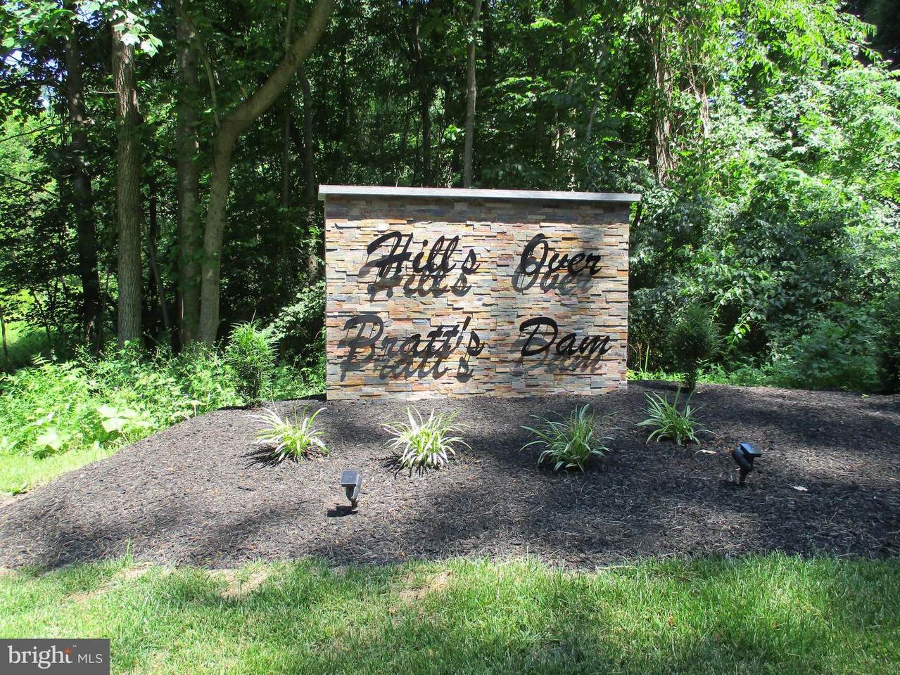 Lot 33 Freedom Valley Circle - Photo 1