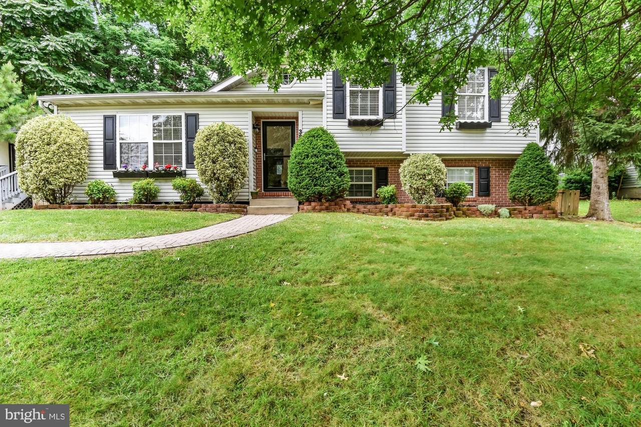 385 Buck Cash Drive - Photo 1