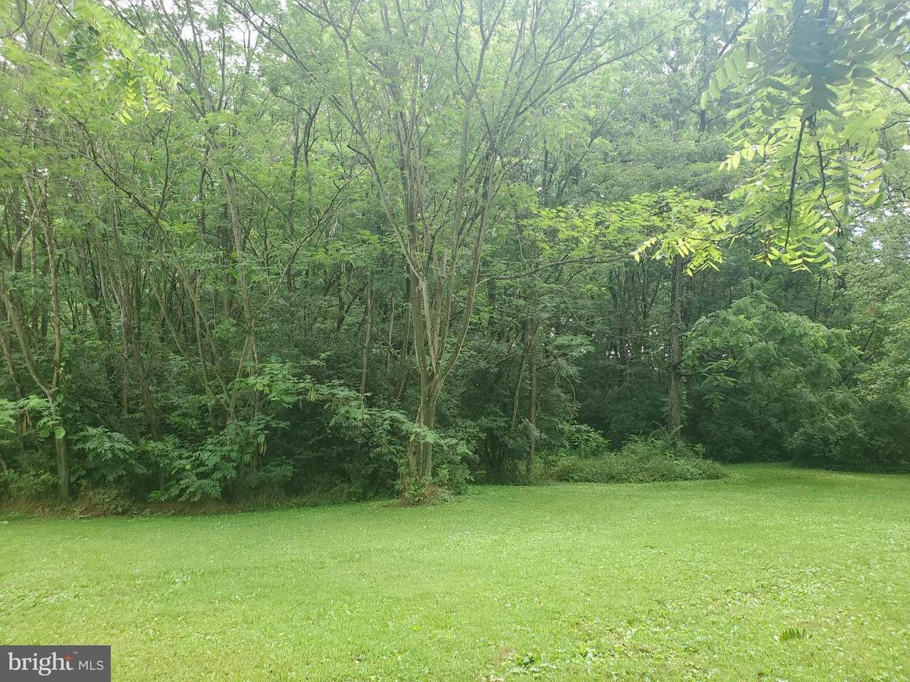 17826 Bakersville Pike - Photo 1