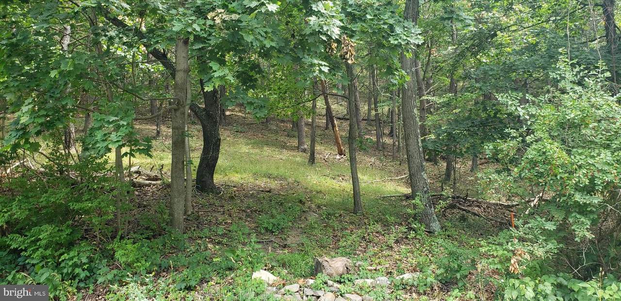 Shades Lane - Photo 1