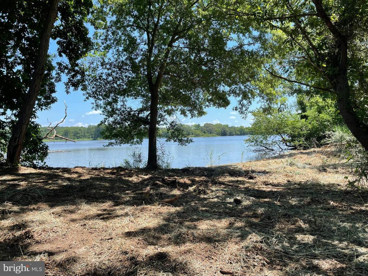 Wye Neck Road - Photo 1