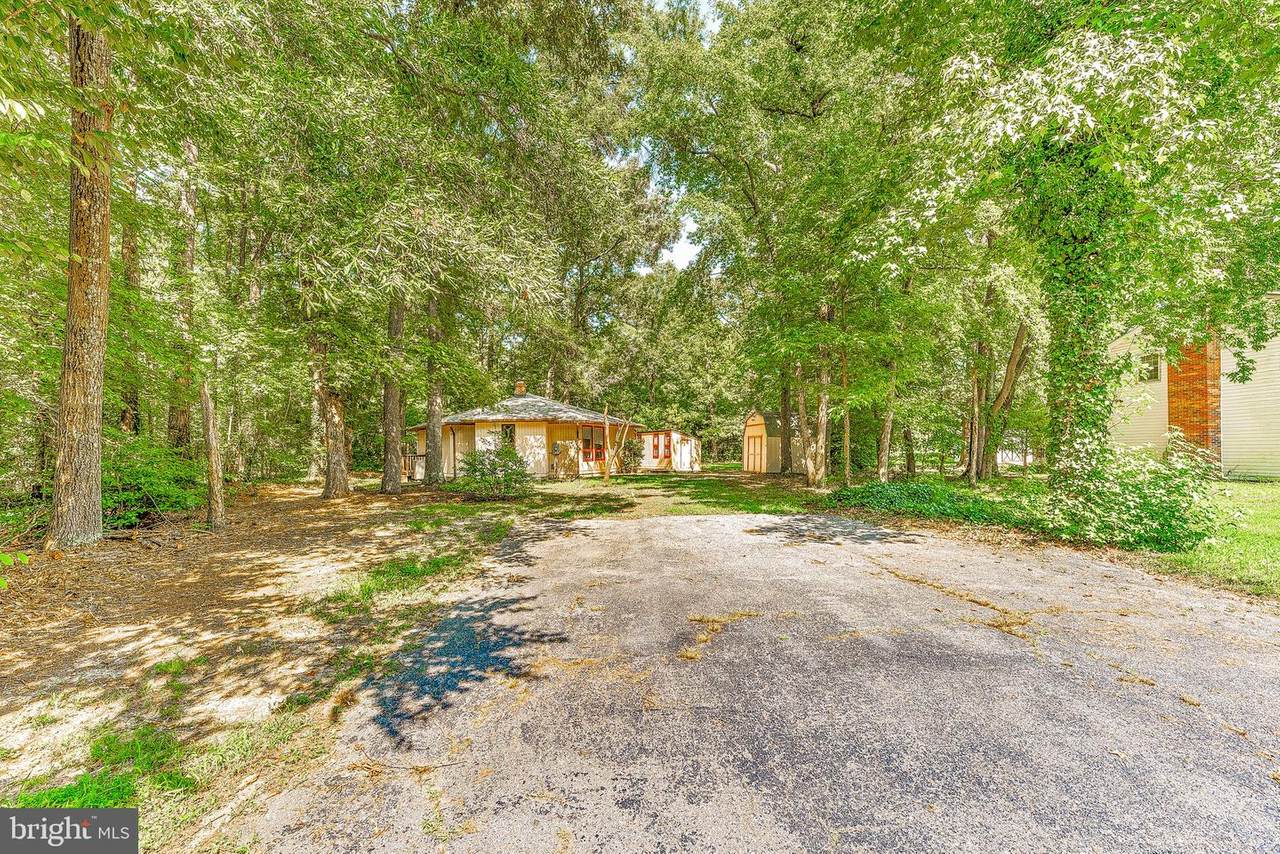 22312 White Oak Road - Photo 1