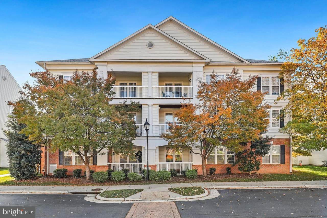 42480 Rockrose Square - Photo 1