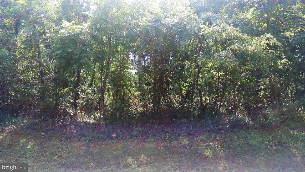 5991 Union Deposit Road - Photo 1