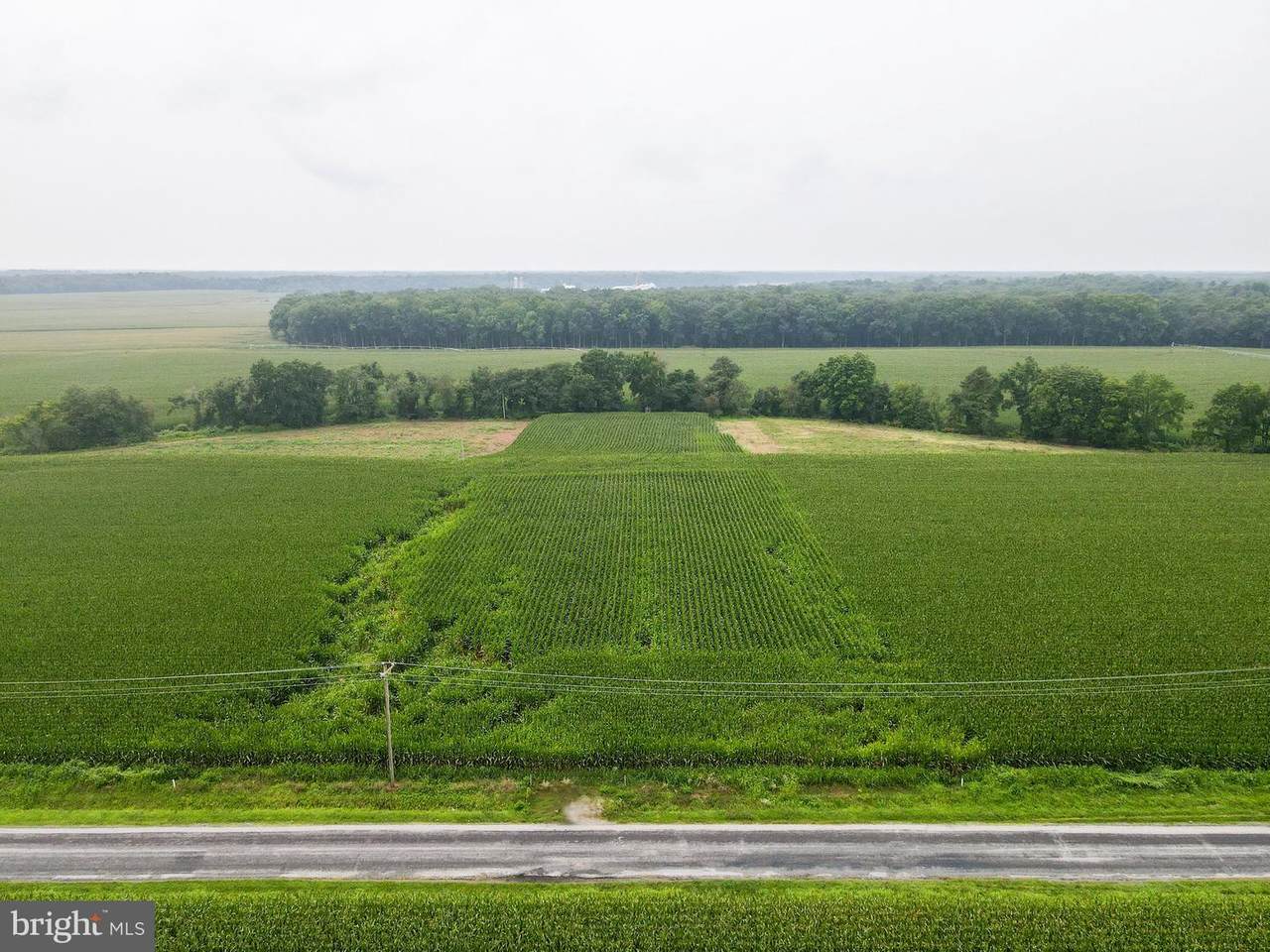 0 Lucks Drive - Photo 1