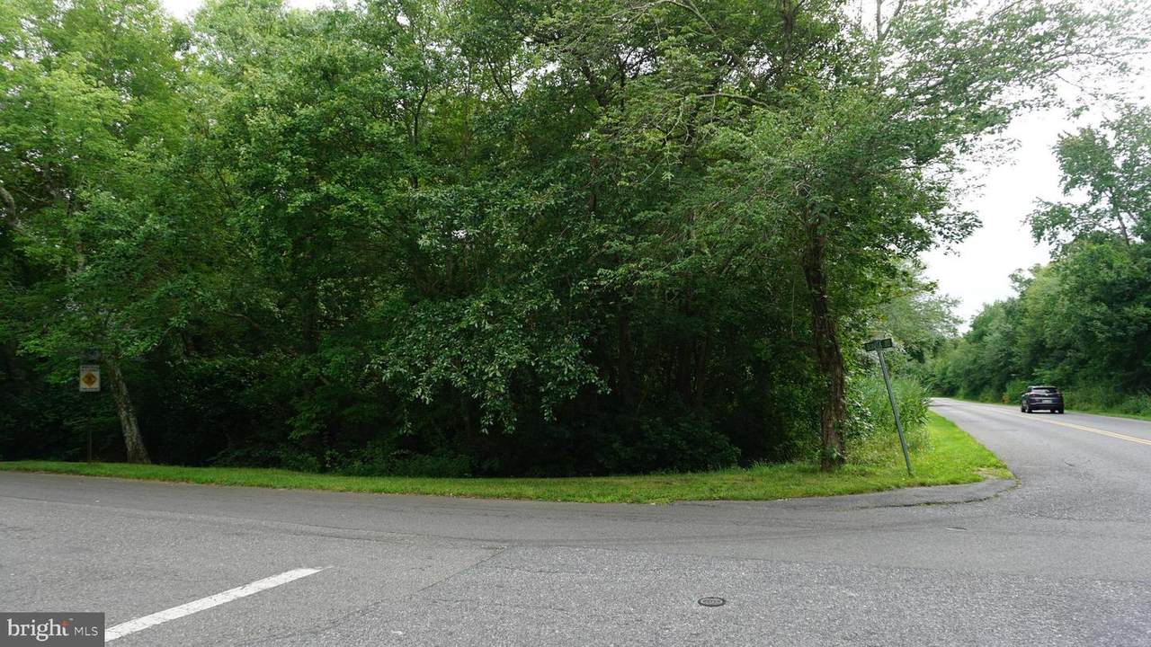 50 Bonita Road - Photo 1