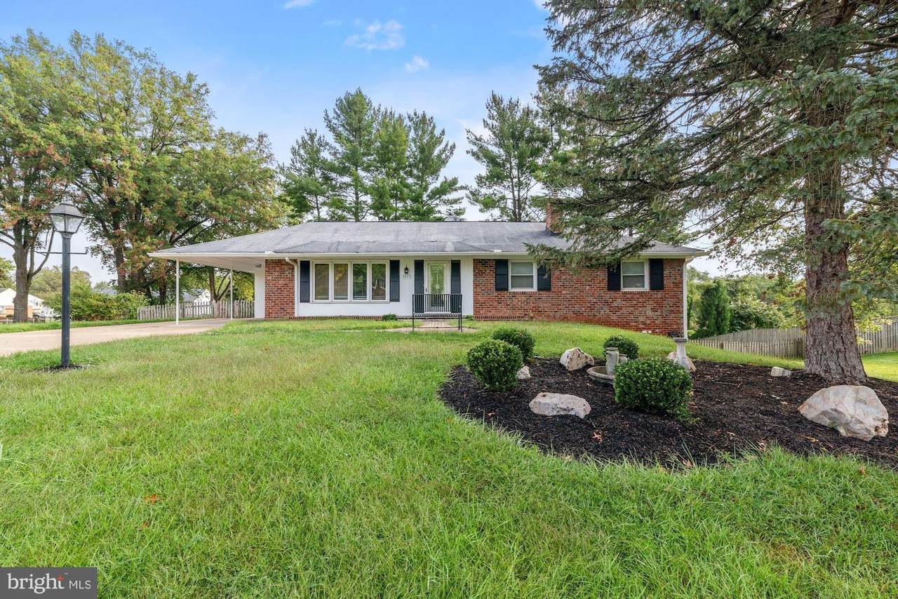 3829 Mt Olney Lane - Photo 1