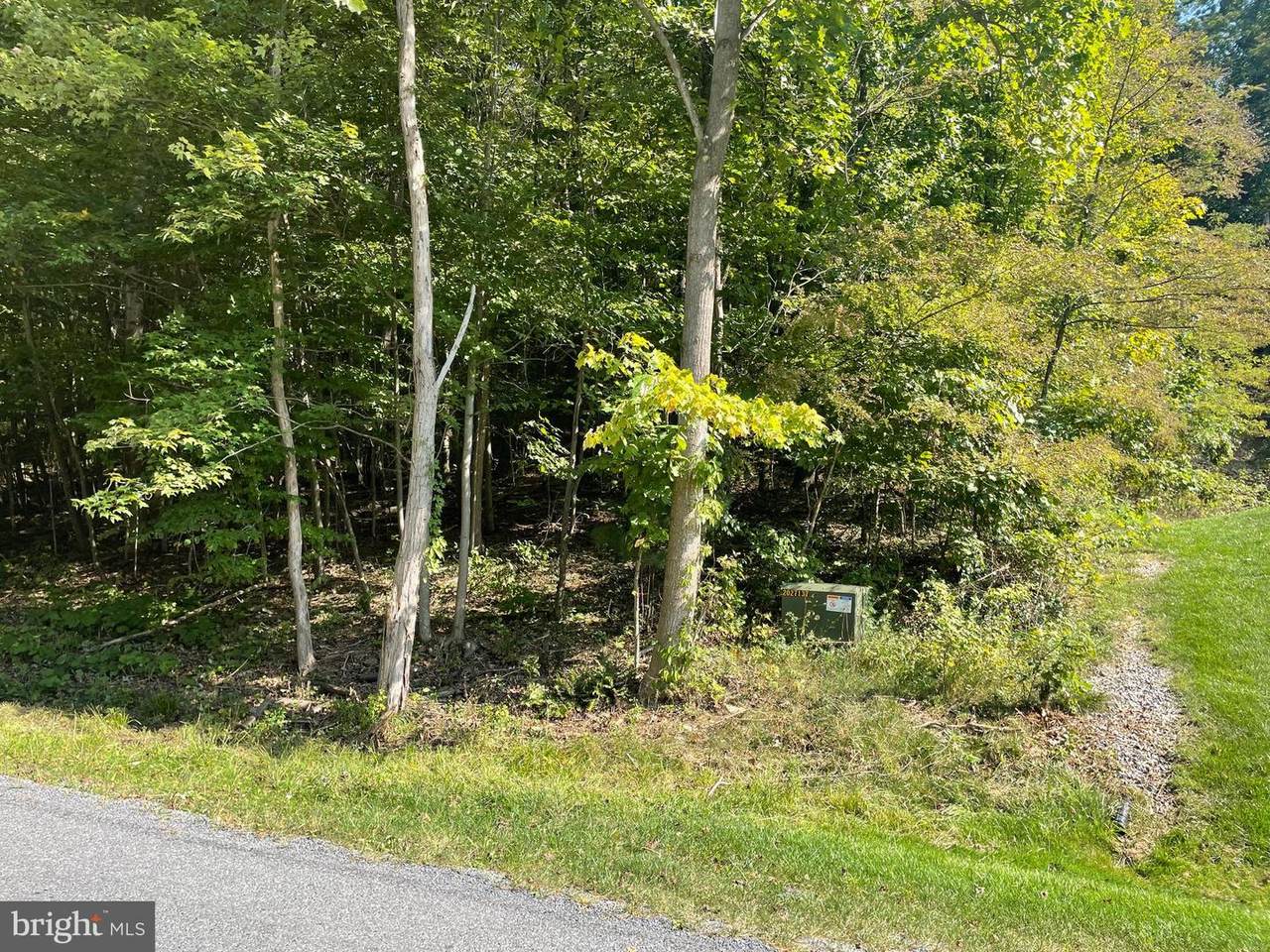Harwood Drive - Photo 1