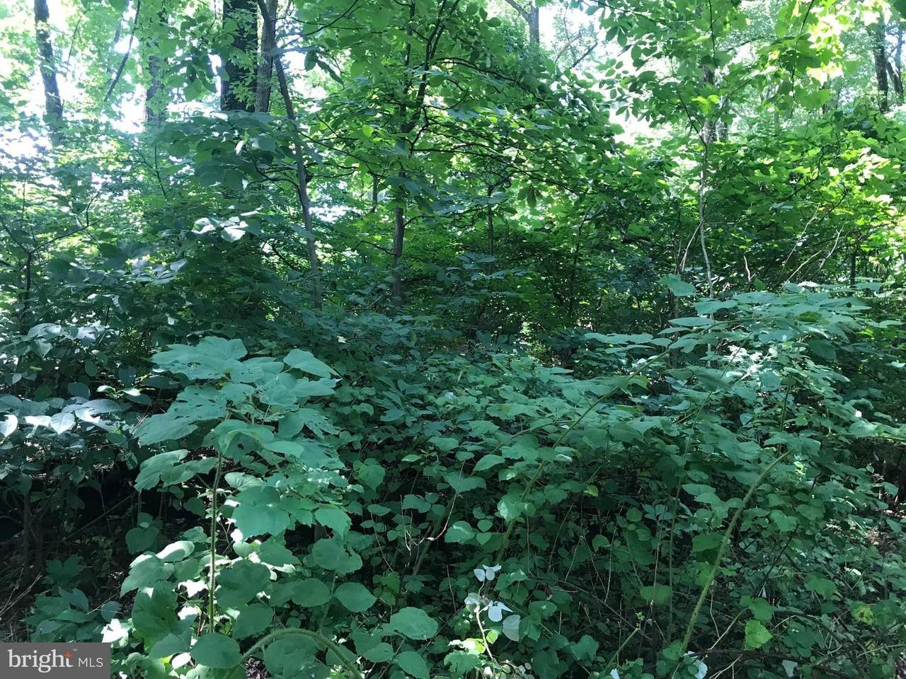 Highridge Road - Photo 1