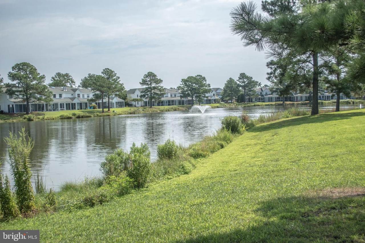 38054 Mockingbird Lane - Photo 1
